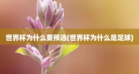 世界杯为什么要预选(世界杯为什么是足球)
