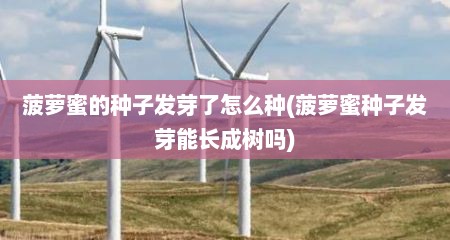 菠萝蜜的种子发芽了怎么种(菠萝蜜种子发芽能长成树吗)