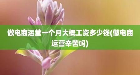 做电商运营一个月大概工资多少钱(做电商运营辛苦吗)