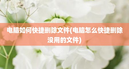 电脑如何快捷删除文件(电脑怎么快捷删除没用的文件)