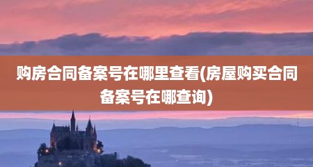 购房合同备案号在哪里查看(房屋购买合同备案号在哪查询)
