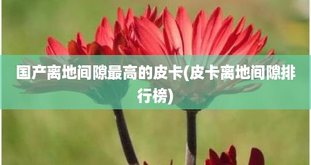 国产离地间隙最高的皮卡(皮卡离地间隙排行榜)
