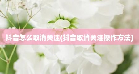 抖音怎么取消关注(抖音取消关注操作方法)