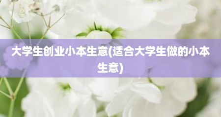 大学生创业小本生意(适合大学生做的小本生意)