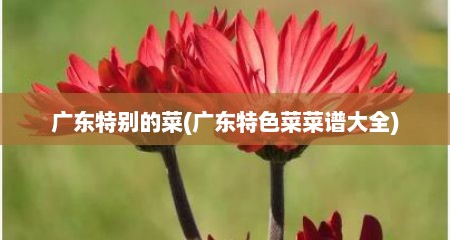 广东特别的菜(广东特色菜菜谱大全)