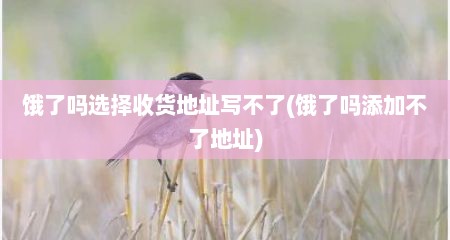 饿了吗选择收货地址写不了(饿了吗添加不了地址)