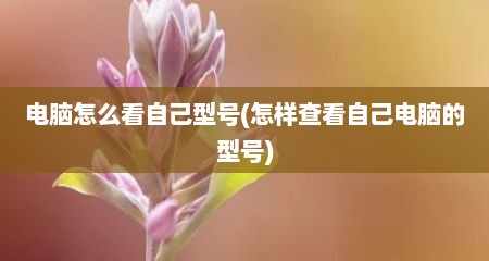 电脑怎么看自己型号(怎样查看自己电脑的型号)