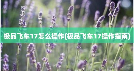 极品飞车17怎么操作(极品飞车17操作指南)