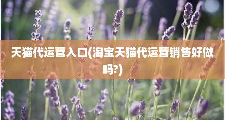 天猫代运营入口(淘宝天猫代运营销售好做吗?)