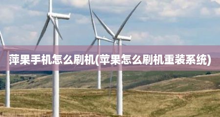 萍果手机怎么刷机(苹果怎么刷机重装系统)