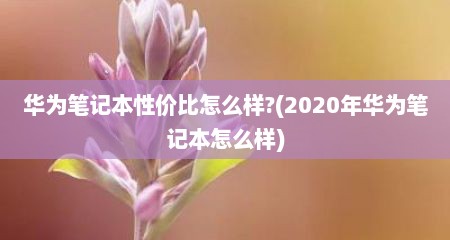 华为笔记本性价比怎么样?(2020年华为笔记本怎么样)