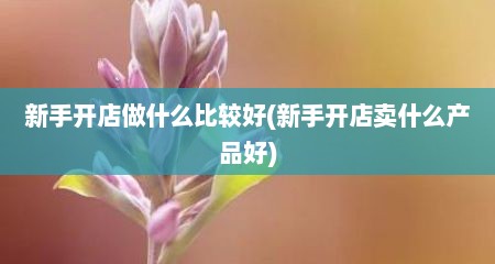 新手开店做什么比较好(新手开店卖什么产品好)