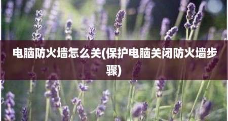 电脑防火墙怎么关(保护电脑关闭防火墙步骤)