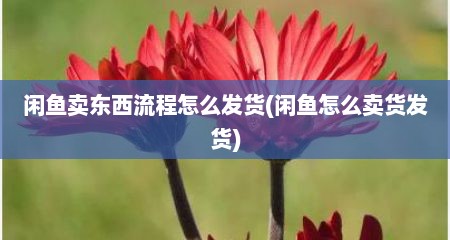 闲鱼卖东西流程怎么发货(闲鱼怎么卖货发货)