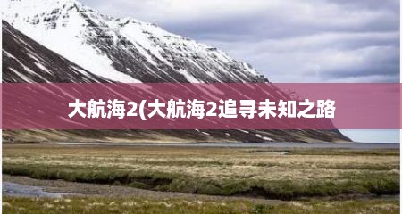 大航海2(大航海2追寻未知之路