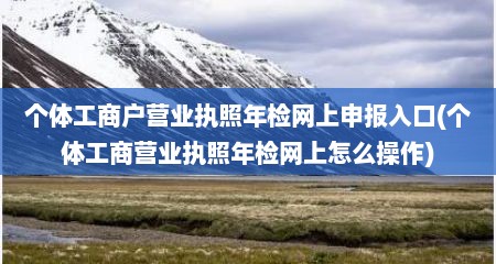 个体工商户营业执照年检网上申报入口(个体工商营业执照年检网上怎么操作)
