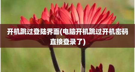 开机跳过登陆界面(电脑开机跳过开机密码直接登录了)