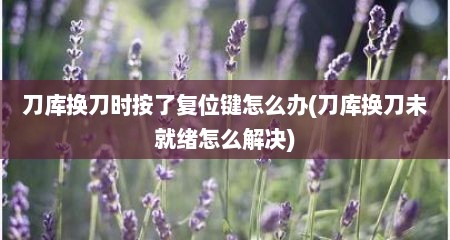 刀库换刀时按了复位键怎么办(刀库换刀未就绪怎么解决)