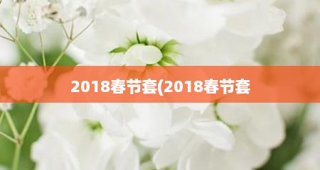 2018春节套(2018春节套