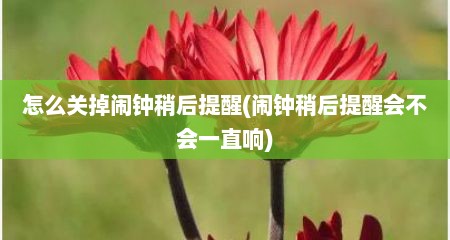 怎么关掉闹钟稍后提醒(闹钟稍后提醒会不会一直响)