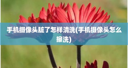手机摄像头脏了怎样清洗(手机摄像头怎么擦洗)