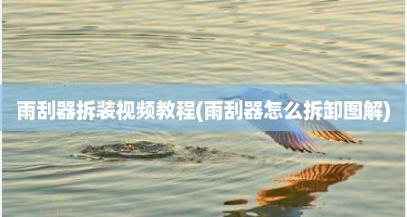 雨刮器拆装视频教程(雨刮器怎么拆卸图解)