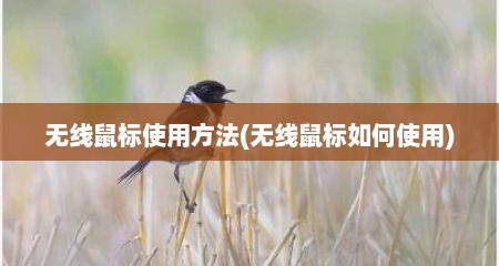 无线鼠标使用方法(无线鼠标如何使用)