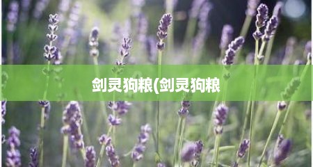 剑灵狗粮(剑灵狗粮