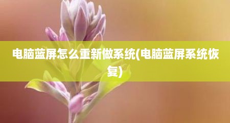 电脑蓝屏怎么重新做系统(电脑蓝屏系统恢复)