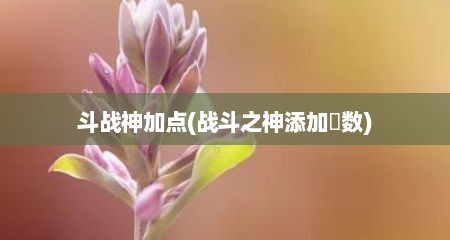 斗战神加点(战斗芝神添加點数)