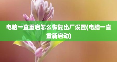 电脑一直重启怎么恢复出厂设置(电脑一直重新启动)
