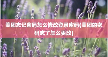 美团忘记密码怎么修改登录密码(美团的密码忘了怎么更改)