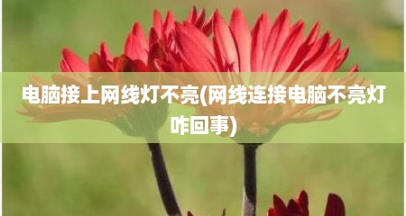 电脑接上网线灯不亮(网线连接电脑不亮灯咋回事)