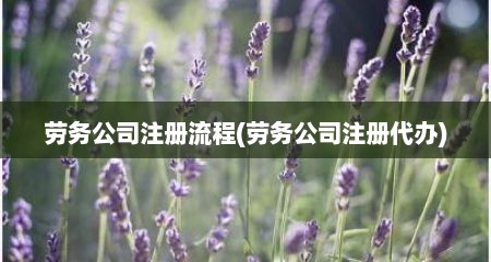 劳务公司注册流程(劳务公司注册代办)