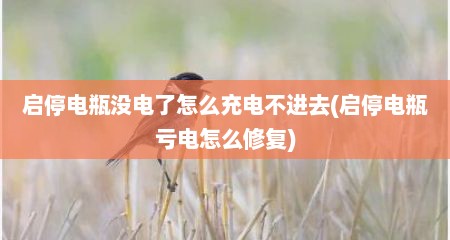 启停电瓶没电了怎么充电不进去(启停电瓶亏电怎么修复)
