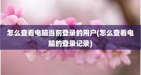 怎么查看电脑当前登录的用户(怎么查看电脑的登录记录)