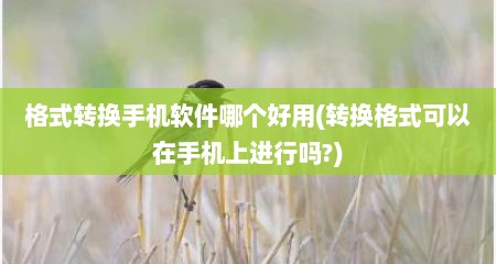 格式转换手机软件哪个好用(转换格式可以在手机上进行吗?)