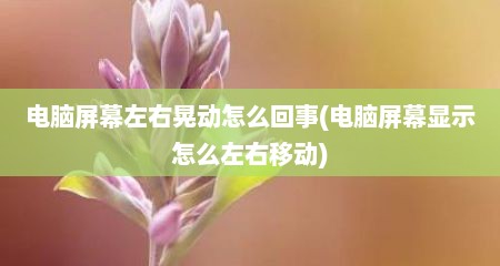 电脑屏幕左右晃动怎么回事(电脑屏幕显示怎么左右移动)