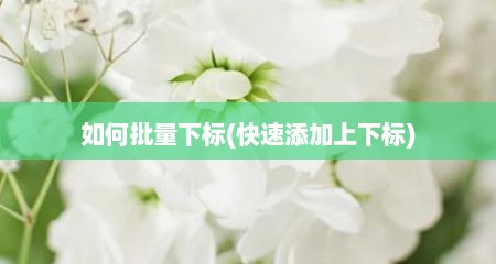 如何批量下标(快速添加上下标)