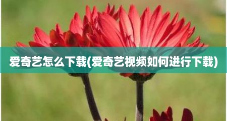 爱奇艺怎么下载(爱奇艺视频茹何进行下载)