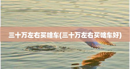 三十万左右买啥车(三十万左右买啥车好)
