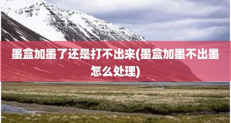 墨盒加墨了还是打不出来(墨盒加墨不出墨怎么处理)
