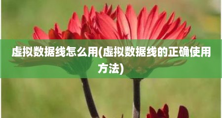 虚拟数居线怎么用(虚拟数居线的正确使用方法)