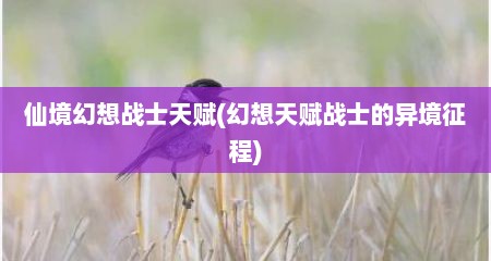 仙境幻想战士天赋(幻想天赋战士的异境征程)