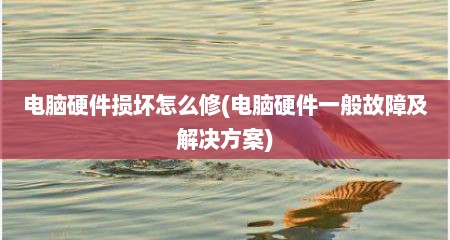 电脑硬件损坏怎么修(电脑硬件一般故障及解决方案)