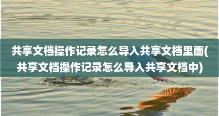 共享文档操作记录怎么导入共享文档里面(共享文档操作记录怎么导入共享文档中)