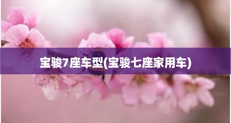 宝骏7座车型(宝骏七座家用车)