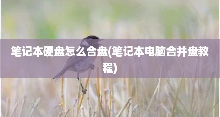 笔记本硬盘怎么合盘(笔记本电脑合并盘教程)