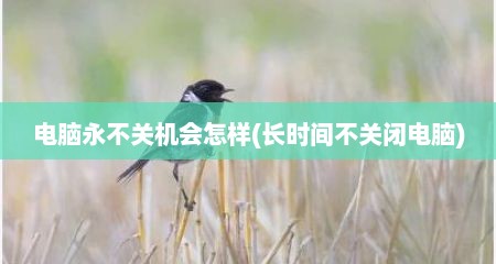 电脑永不关机会怎样(长时间不关闭电脑)