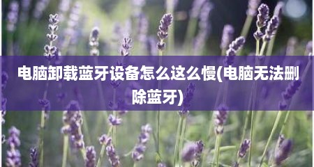电脑卸载蓝牙设备怎么这么慢(电脑无法删除蓝牙)